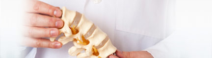 chiropractic-spinal-model
